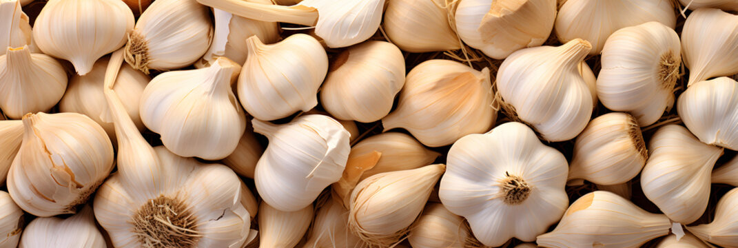 Garlic background Texture Garlic pattern Garlic wallpaper