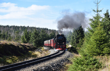 Dampflokfahrt mit der Harzer Schmalspurbahn 