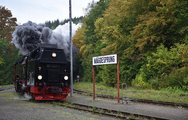 Dampflok der Selketalbahn hält am Bahnhof Mägdesprung 