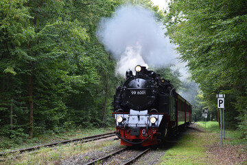 Dampflokfahrt mit der Harzer Schmalspurbahn 