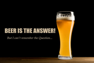 Funny memes, Beer is the answer, I can't remember the question  - obrazy, fototapety, plakaty