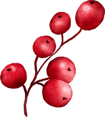Christmas Berries Watercolor