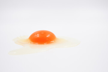 One raw chicken egg with yellow yolk and clear white egg in three layers on white background. The largest cell in the world.