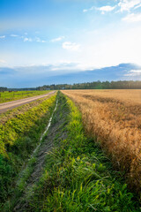 Fototapeta na wymiar Country road and farm field in autumn