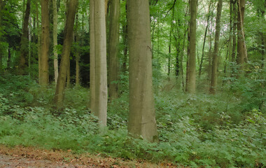 Beautiful view of the Enghien Gardens