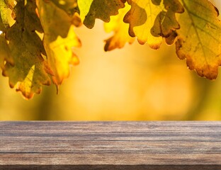 Naklejka na ściany i meble The empty blank wooden table with background of autumn.