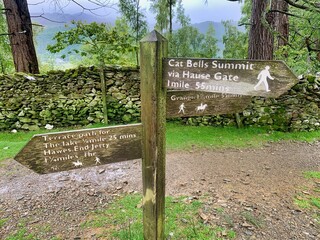 Directional wooden signpost for cat bell summit track and trail 