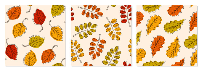 Collection of 3 seamless pattern with autumn leaves in line art style. Great for backgrounds, cards, gift wrapping paper, home decor. Vector illustration.
