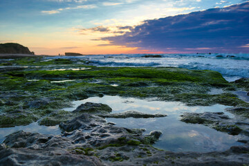 Little puddles by the mossy rocks 10