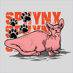 SPHYNX cat illustration desain artwork