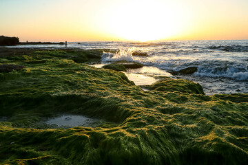 Little puddles by the mossy rocks 3