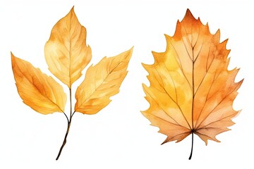 Fototapeta premium Beautiful yellow autumn leaves image isolated on a white background. Generative AI