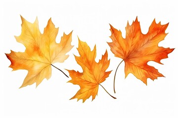 Fototapeta premium Beautiful yellow autumn leaves image isolated on a white background. Generative AI