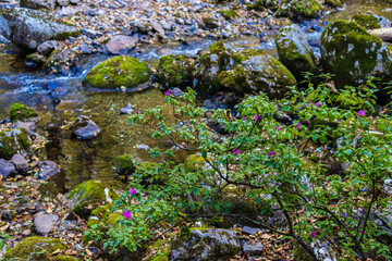 Waterfall. Tourism and travel in autumn. Holidays in the mountains.
