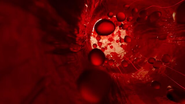 Blood vessels which red objects or molecules move. Science and medicine concept or Abstract background. Animation, 3D Render.
