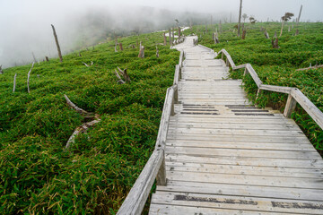 Fototapeta premium 大台ヶ原