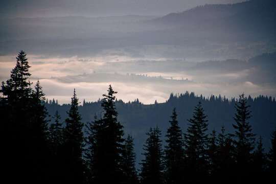 Morning fog in sunrise time in Carpathian mountains, Ukraine