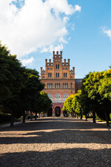 Chernivtsi University with green trees