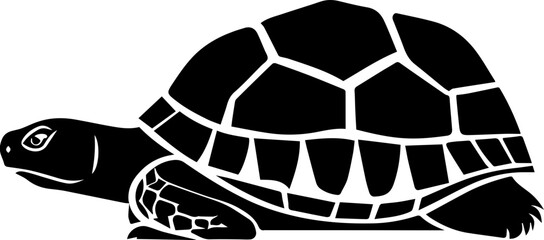 Obraz premium Gopher Tortoise icon 3
