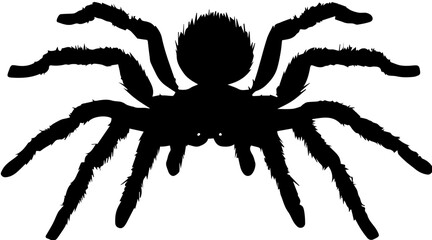 Gooty Sapphire Tarantula icon 6