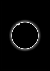 moon in the night