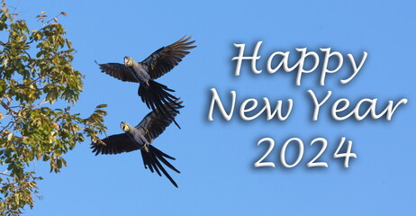Happy New Year 2023, Hyacinth Macaw, Blue Bird, Aniimal, Pantanal, Wildlife, Brazil, Swamp  © Christian Dietz