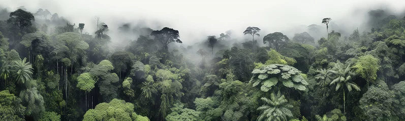 Schilderijen op glas panorama of the rainforest tree tops in the fog. © kichigin19