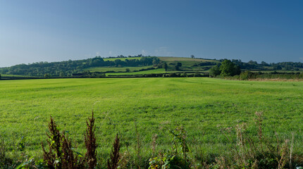 Panoramic view across English farmland on sunny autumn day, - 656466531