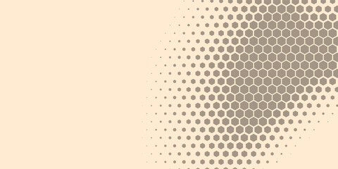 Geometric abstract Hexagon Two Color Background