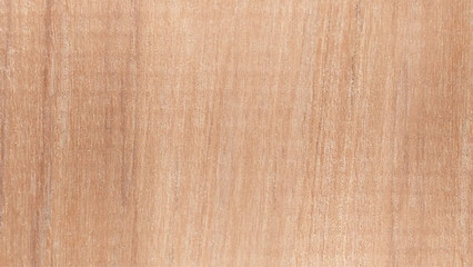 Wood texture background, vector
