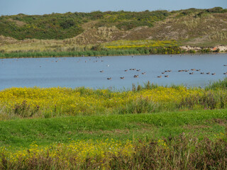 Die  Insel Langeoog