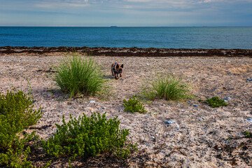 Fehmarn