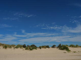 Sommer auf der insel langeoog