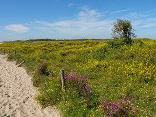 Fototapeta premium Sommer auf der insel langeoog