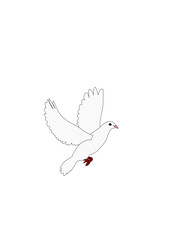 white dove