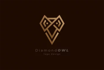 Foto op Plexiglas Diamond logo design. diamond  with owl combination. usable for brand and business logos. flat design logo template element. vector illustration © Jerry