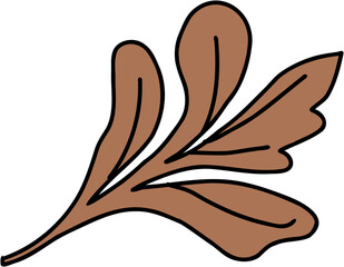 doodle freehand sketch drawing of maple leaf.