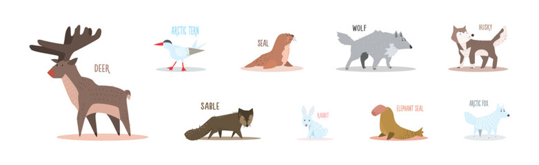 Funny Wild Polar Animal as Fauna of Arctic Vector Set