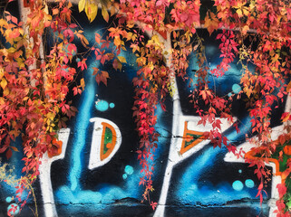 colorful graffiti and leaves