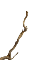 Wooden branch of driftwood for reptiles and aquarium isolated on transparent background. PNG transparency