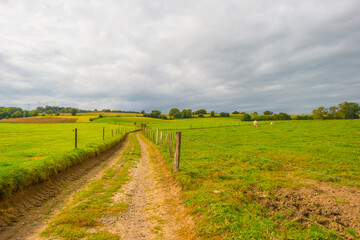 Fototapeta na wymiar Fields and vegetables in a green hilly landscape in sunlight in autumn, Voeren, Limburg, Belgium, September 2023