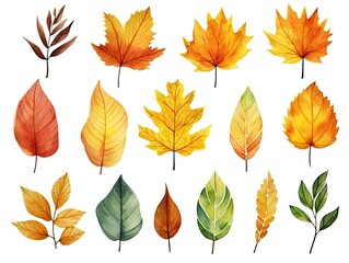 A set of watercolor autumn leaves in different shapes, sizes, and colors on a white background.