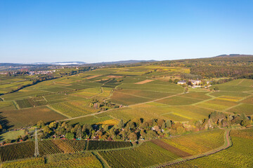 Bird's eye view of Vollrads Castle in the middle of vineyards near Oestrich-Winkel/Germany in the Rheingau in autumn