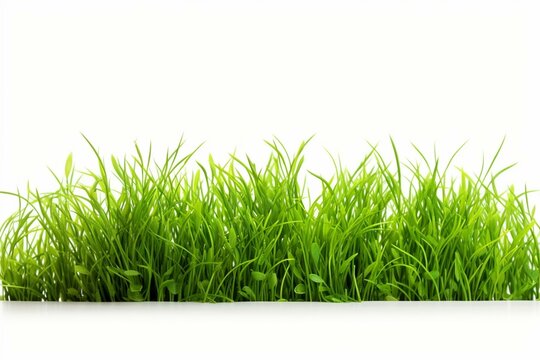 Isolated green grass on white background. Generative AI