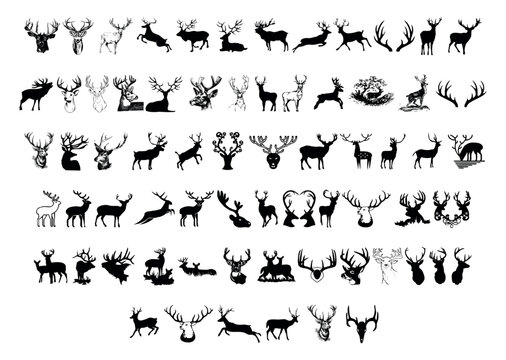 Set of deer black silhouette large collection of deer silhouettes vector illustration.