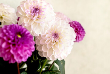 bouquet of flowers in a vase. Beautiful white and purple dahlia flower bouquet.