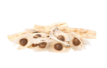 Moringa Oleifera seed dried on transparent png