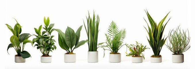 Fototapeta na wymiar set of plants on white background, Generative AI