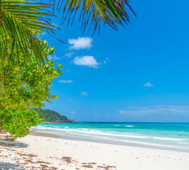 Fototapeta na wymiar Palm trees and turquoise water in Anse Kerlan beach