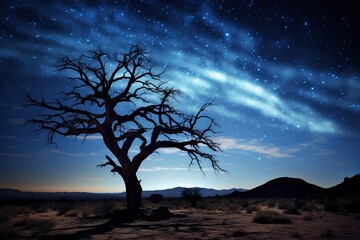 Ancient gnarled tree silhouetted against a starry desert sky with a comet tail